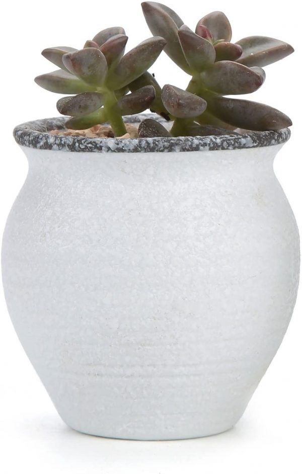 2.5 Inch Small Ceramic Succulent Planter Pots with