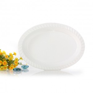 disposable plate 2