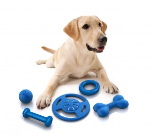 dog toys 1