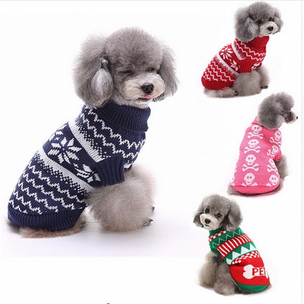 sweater pet 6t