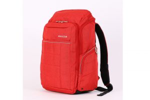 Backpack 15