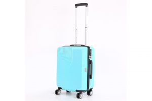 Suitcase 8