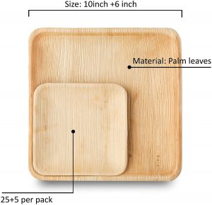 10 inch Square Disposable Bamboo Areca Palm Leaf Plates 25 Pack and 5 Pack Heavy Duty Sturdy Environmentally Safe