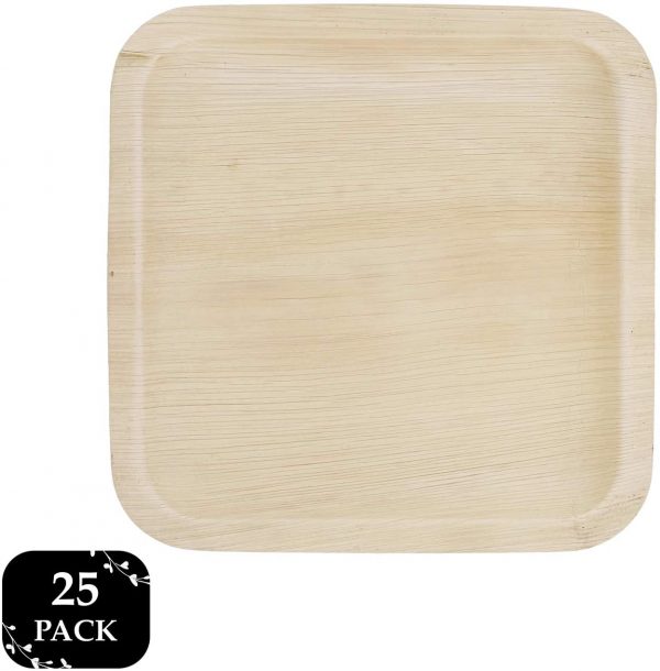 Spec101 Palm Leaf Plates 8 Inch Square 1